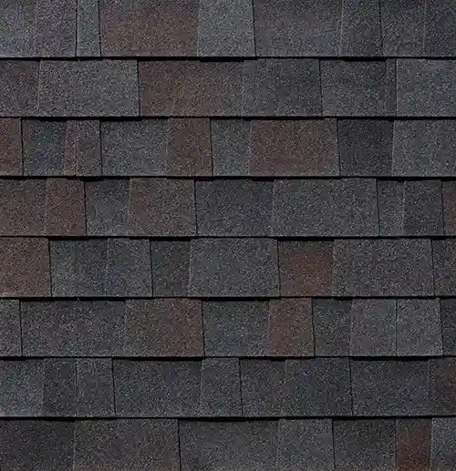 Black Oak Malarkey Shingles Vista